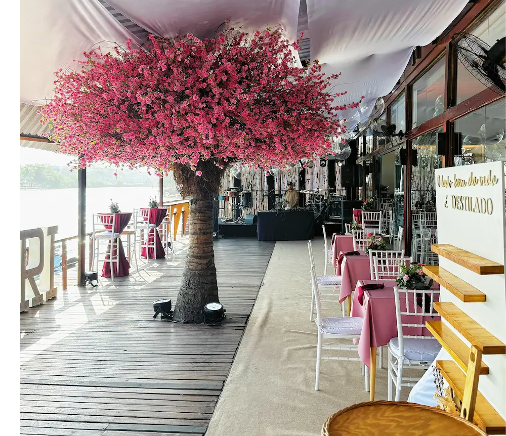 Rio Beach Club Vista Drone